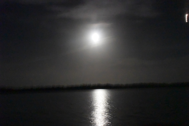 Nice moon light night for Hullabaloo and Radio Wave to Make their overnight passage.