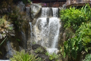 waterfall in garden